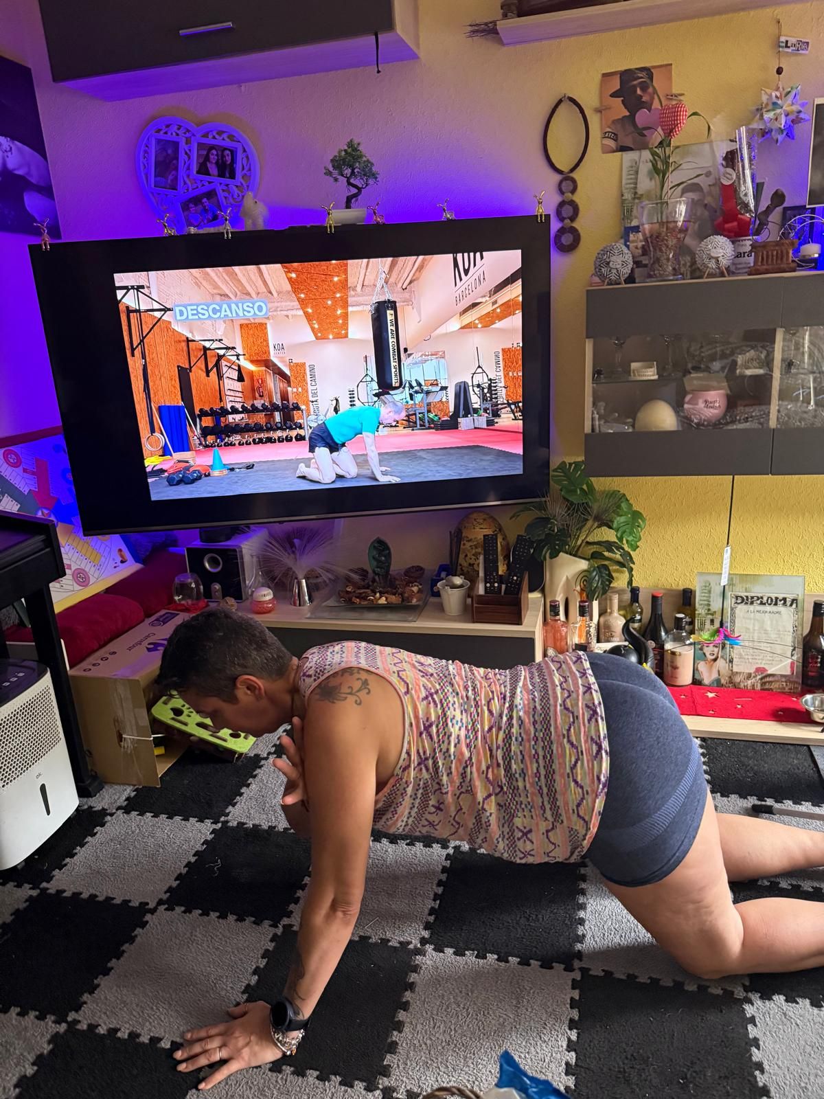 Participante del programa